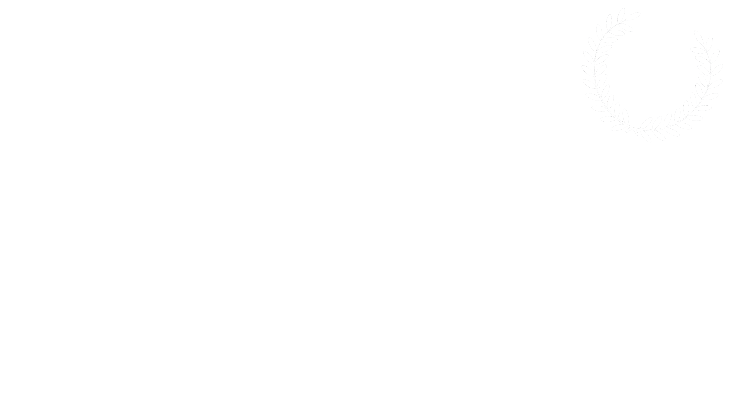 Stiels – hèt live muziekcafe van Haarlem